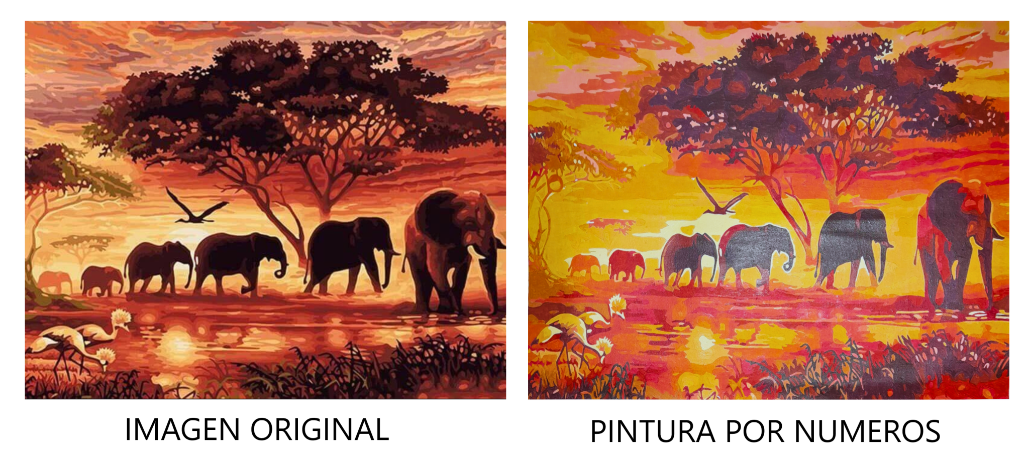 Pintura Por Números: La Ciencia de Transformar Imágenes en Experiencias Artísticas