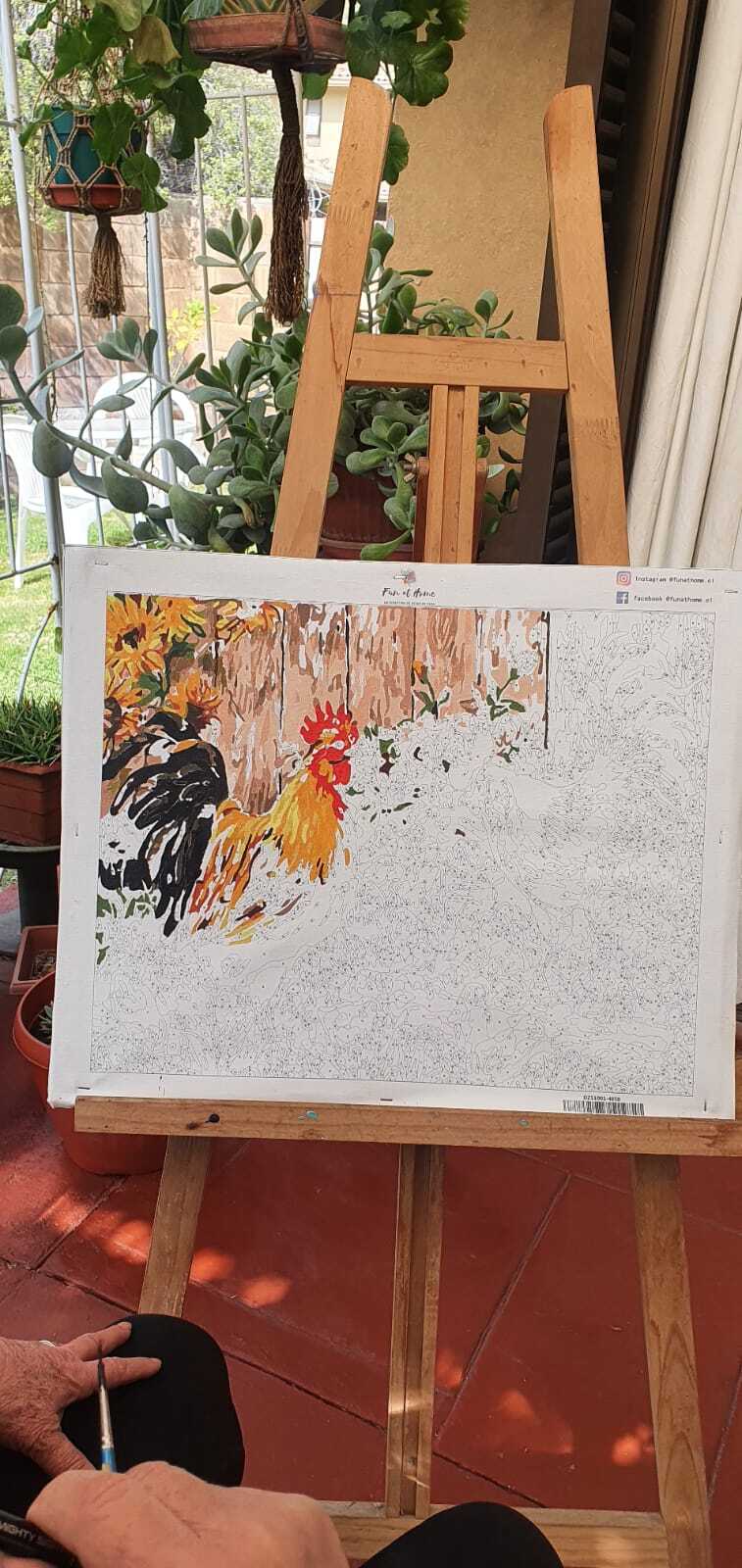 Pintura con números: nuevo pasatiempo para el adulto mayor