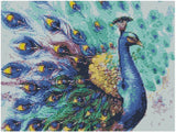 Pavo Real (40x30) - Pintura Diamante Cuadrado