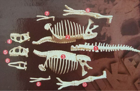 Kit Tiranosaurio 🦖 Excava y Ensambla