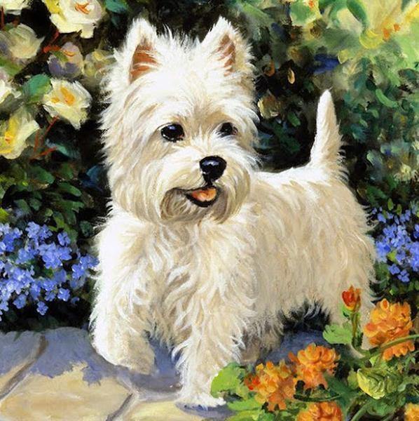 Pinturas con Diamantes Perro Pequeño Blanco (30 x 40) - Diamante Cuadrado - ANIMALES, diamond painting, mostacilla cuadrada, Niños, perros, pintura diamante 