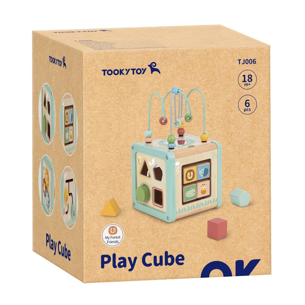 Cubo Didáctico de Madera 5 en 1