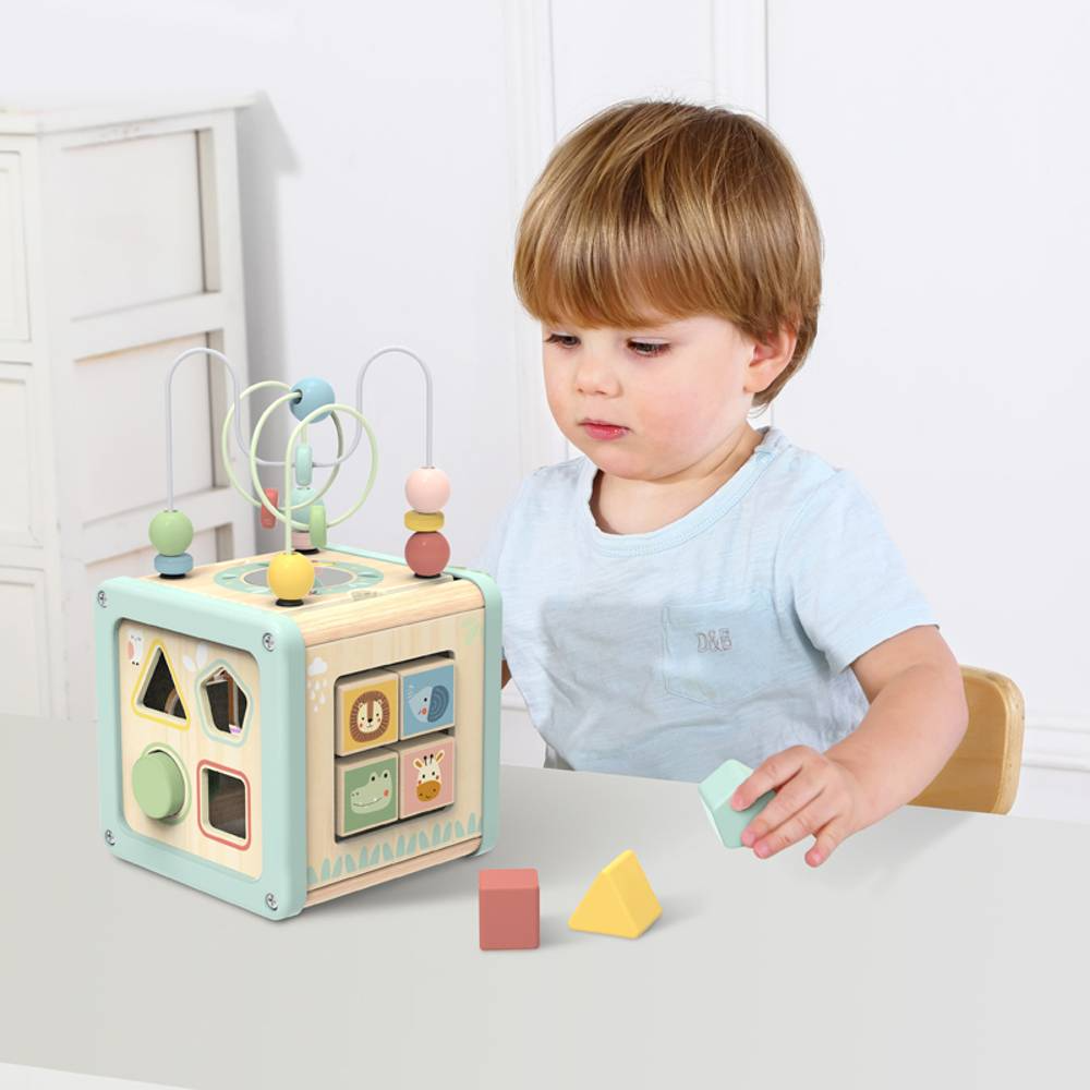 Cubo Didáctico de Madera 5 en 1