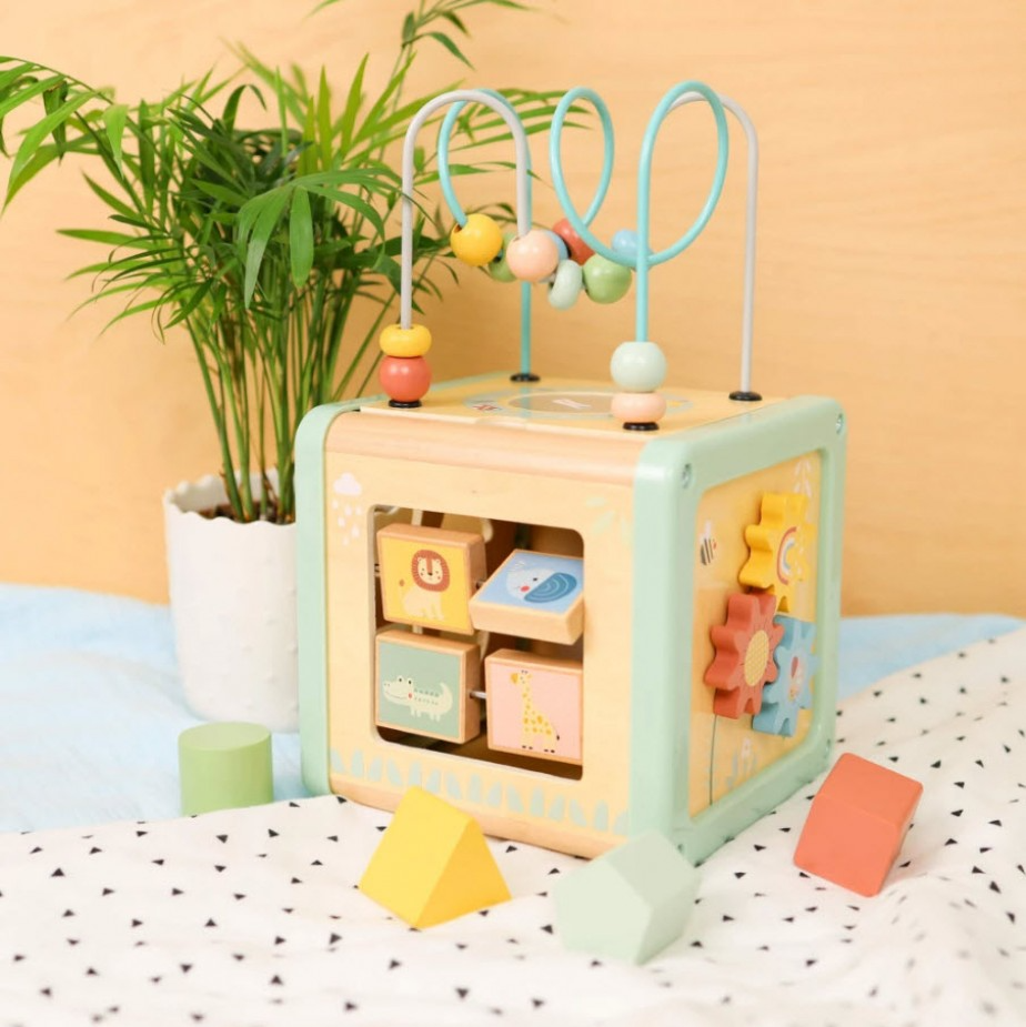 Cubo Didáctico de Madera 5 en 1
