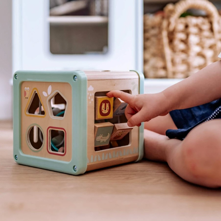 Cubo Didáctico de Madera 5 en 1