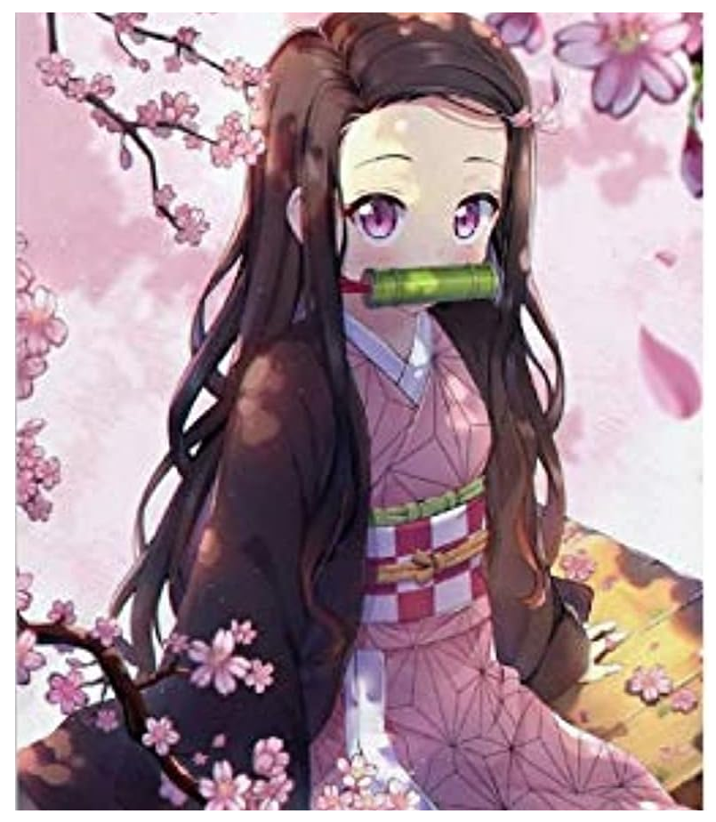 Nezuko - Pintura por Numero (40x50)