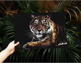 Kit Scratch Tigre