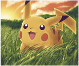 Pinturas con Diamantes Pikachu (30x25) - Pintura Diamante Redondo - ANIME, MONITOS, mostacilla redonda, Niños, pelicula, Personajes, pikachu, pintura diamante, POKEMON 