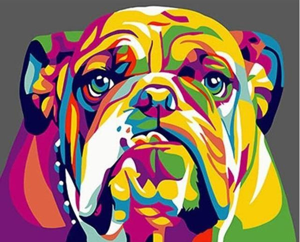 Pinturas con Números Bulldog Inglés a Color - Pintura Por Número (50x40) - Animales, BULLDOG, Niños, Perros, Pintura con Número, pintura por números 