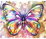 Pinturas con Números Mariposa - Pintura Por Número (50x40) - alas, insecto, insectos, mariposa, Moderno, Pintura con Número, pintura por números 