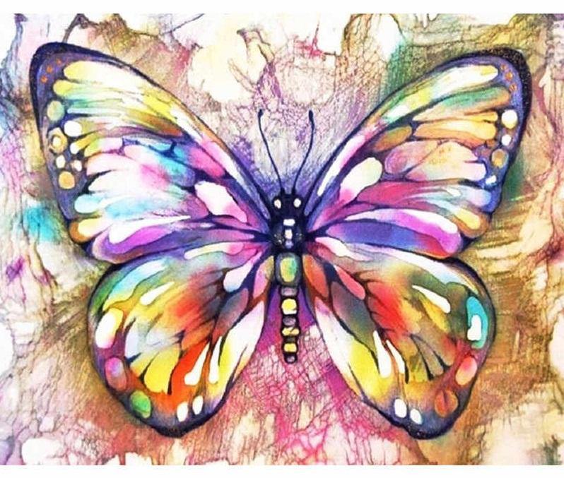 Pinturas con Números Mariposa - Pintura Por Número (50x40) - alas, insecto, insectos, mariposa, Moderno, Pintura con Número, pintura por números 