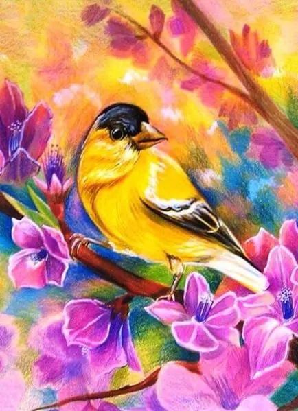 Pinturas con Diamantes Pájaro en Flores (30x40) - Pintura Diamante Cuadrado - Alas, Animales, arte diamante, aves, brillante, colorido, diamond painting, mostacilla cuadrada, Niños, Pajaro, Pintura, Pluma 