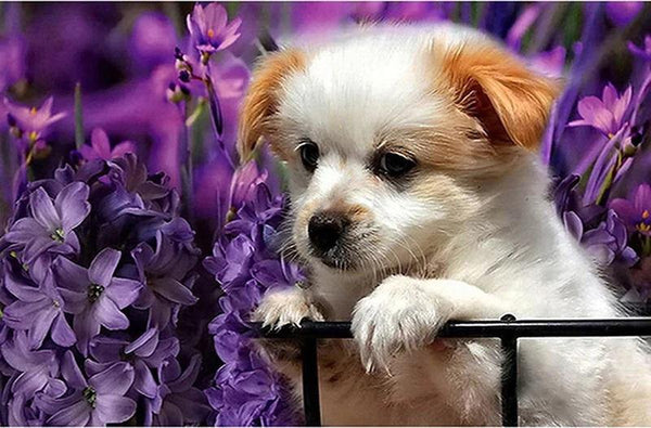 Pinturas con Diamantes Perrito en Flores (30 x 40) - Pintura Diamante Cuadrado - AMOR, animal, diamond painting, FLOR, flores, mostacilla cuadrada, Niños, perrito, perros, pintura diamante, tierno 