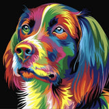 Pinturas con Números Perro Color - Pintura Por Número - 50x40 - Animales, Niños, paint by numbers, Perros, Pintura con Número 