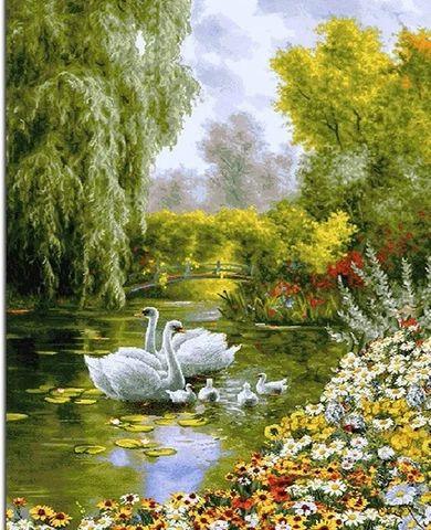 Pinturas con Números Familia de Cisnes - Pintura por Numero (50x40) - animales, aves, cisnes, Paint By Numbers, paisaje, pintura por números 