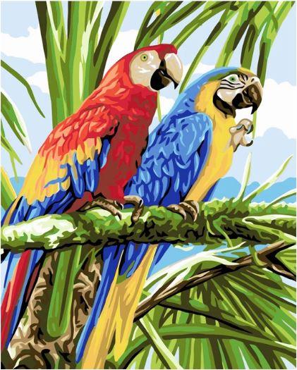 Pinturas con Números Papagayos - Pintura por Numero (50x40) - aves, loro, Paint By Numbers, Pintura con Número, pintura por números 